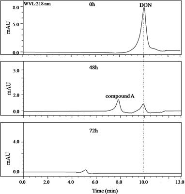 Detoxification of Deoxynivalenol by a Mixed Culture of Soil Bacteria With 3-epi-Deoxynivalenol as the Main Intermediate